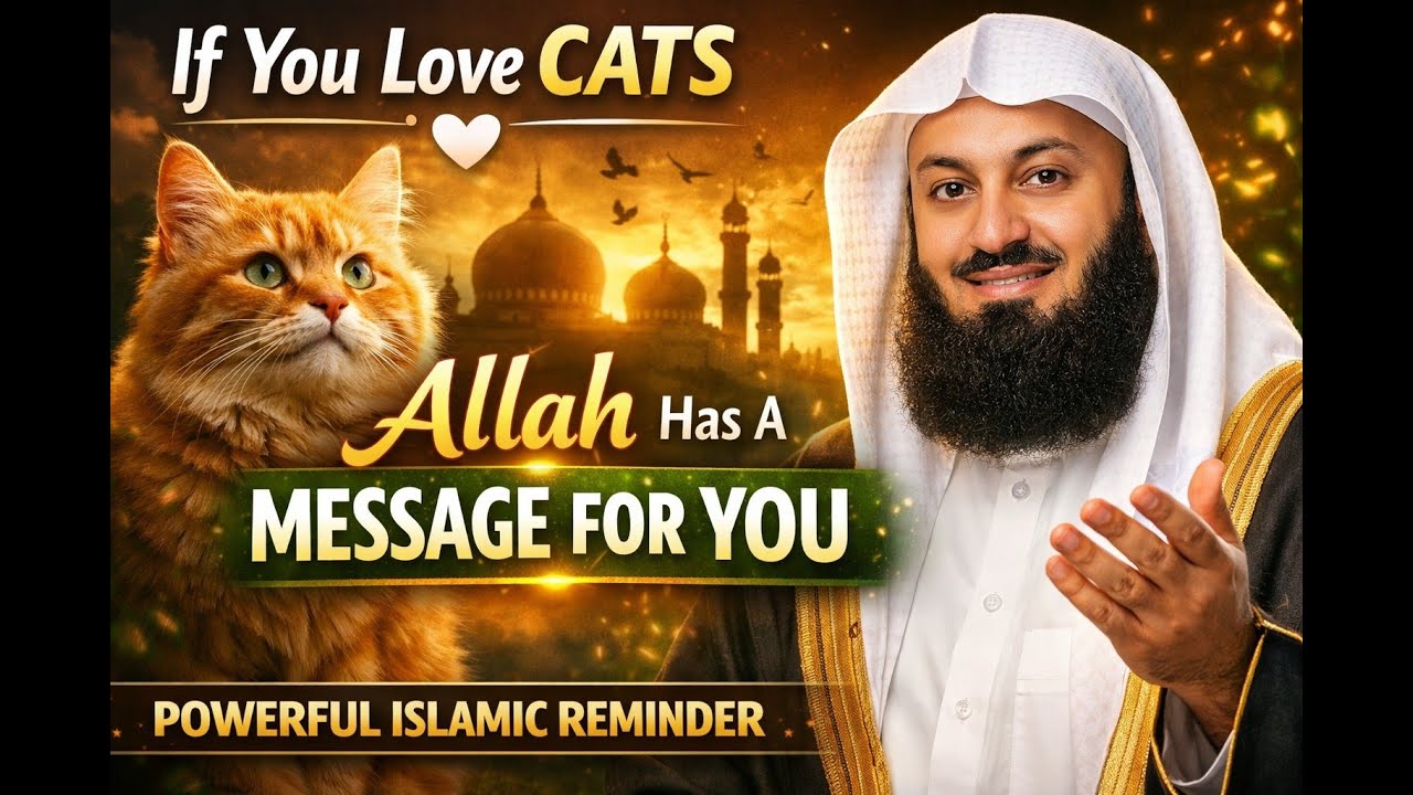 If You Love Cats, Allah Has a Message for You | Powerful Reminder for Muslims | Mufti Menk