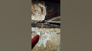 basement waterproofing efflorescence