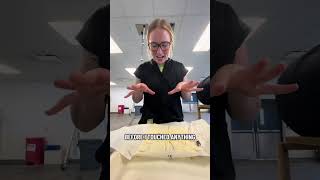 Perfecting Vet Skills: Horse Model Ab Tap | Hands-On Training at Ross Vet