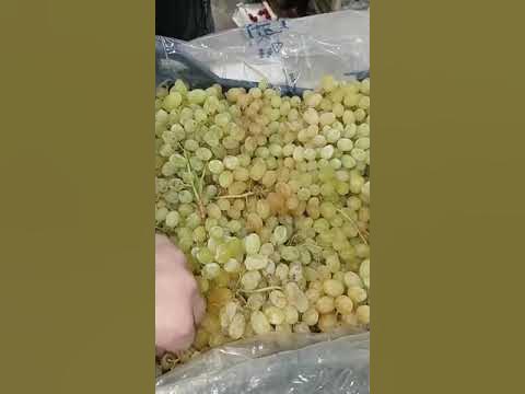 Киш Миш оптом - YouTube