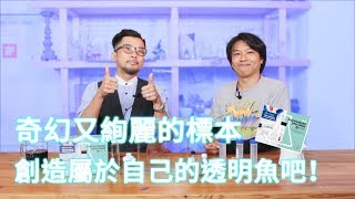 奇幻又炫麗的標本創造屬於自己的透明魚吧