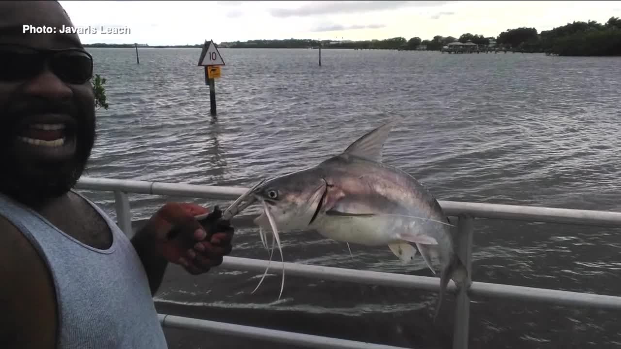 Child hospitalized after being stabbed in chest by catfish barb in New