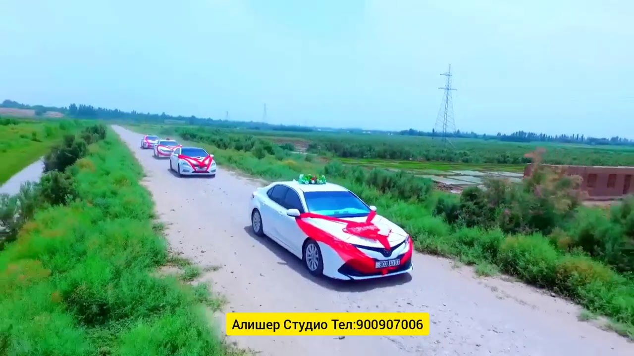 ТУЙ КУМСАНГИР АЛИШЕР МАХАТОВ ЗАКАЗ УЧУН ТЕЛ 900907006