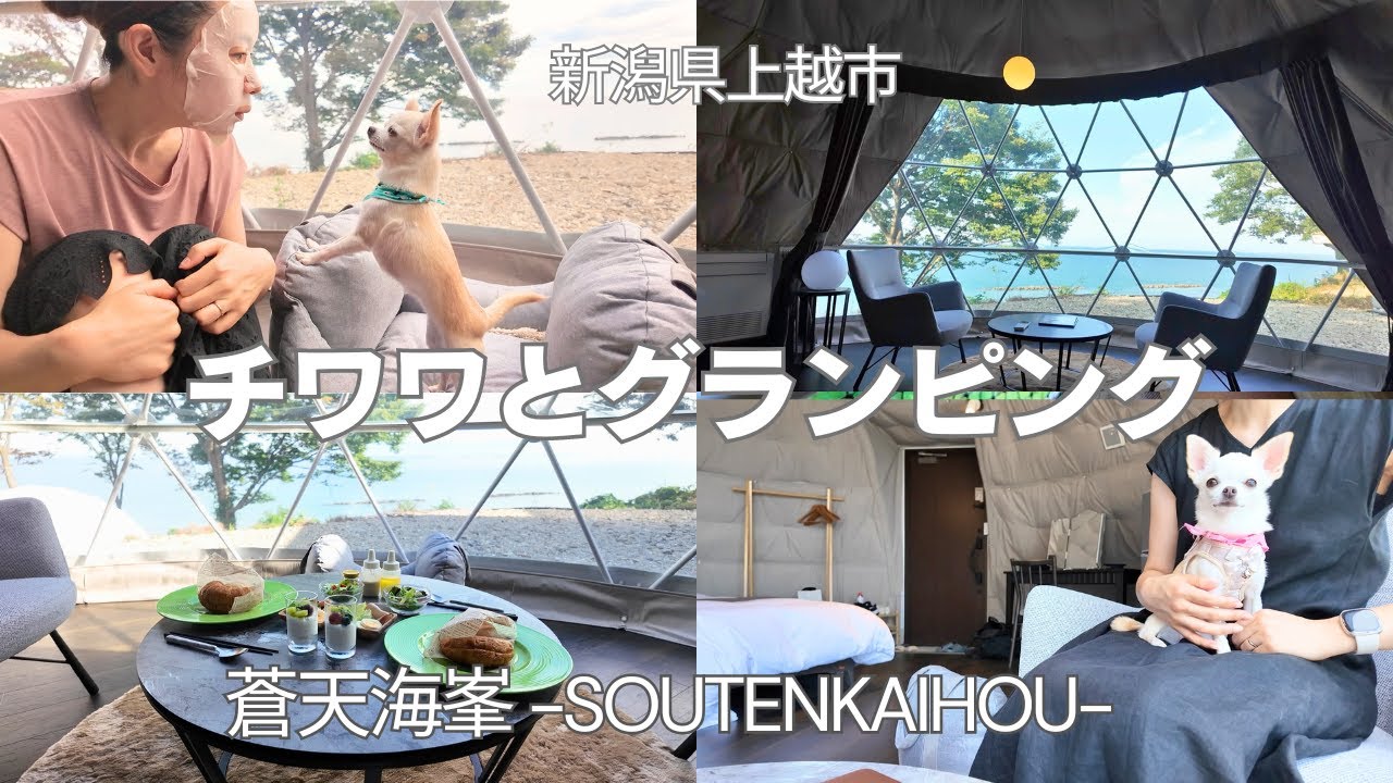 オシャレすぎるから見て！愛犬と行ける最高のグランピング施設がオープン！　【蒼天海峯 ソウテンカイホウ】＠新潟県上越市