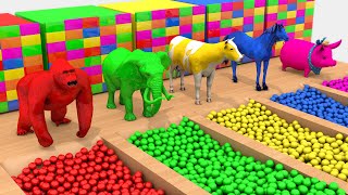 NEW Long Slide Game With Gorilla, Elephant, Cow, Horse, Pig – 3D Animal Game | Animal Pop 3D screenshot 2