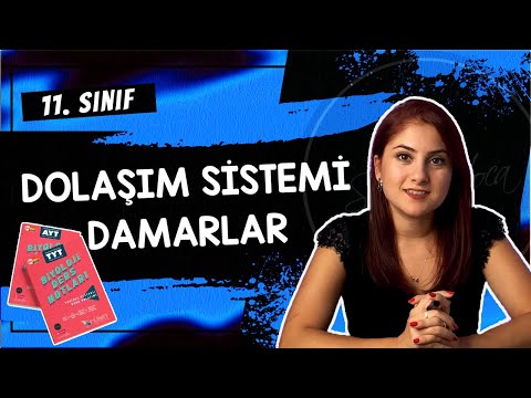 18) DAMARLAR - DOLAŞIM SİSTEMİ 2 | 11. SINIF | AYT BİYOLOJİ DERS NOTLARI | 2024