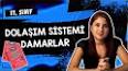 Biyoloji - Boşaltım Sistemleri Nelerdir? Ders Notu ve Konu Anlatımı ile ilgili video