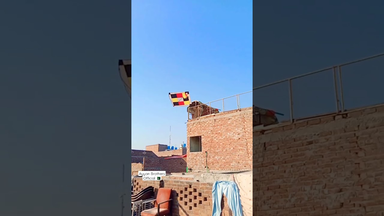 King of kite flying lahore YouTube