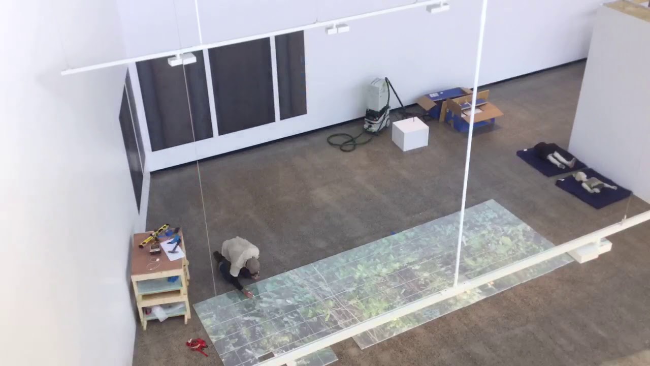 Cristina Córdova in LA JUNGLA at Alfred Ceramic Art Museum