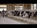 Primera Parte: Cómo Tomar Ventaja del Comportamiento Natural de los Animales