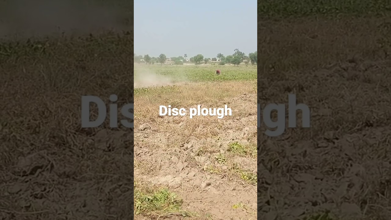 Disc plough at my farm  