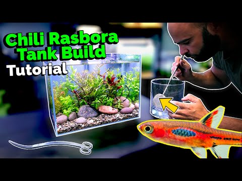 Building a Nano