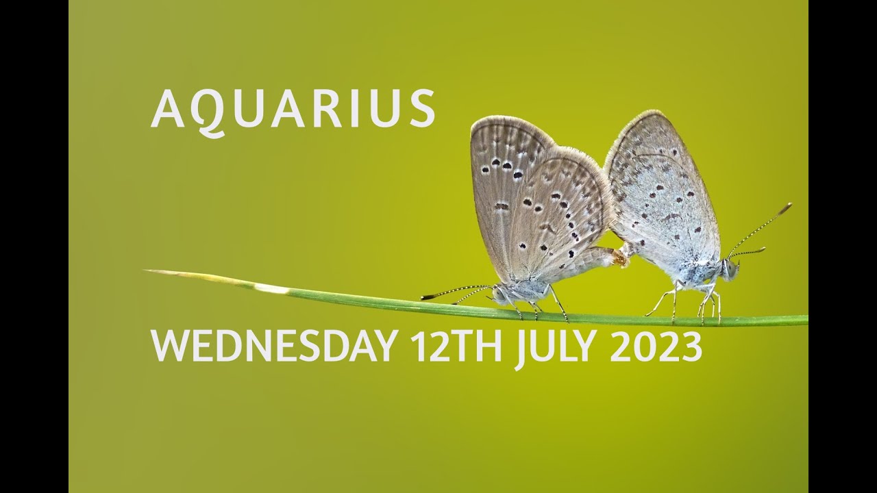 AQUARIUS WEDNESDAY JULY 12TH 2023 DAILY TAROT READING YouTube aquarius-wednesday-july-12th-2023-daily-tarot-reading-youtube