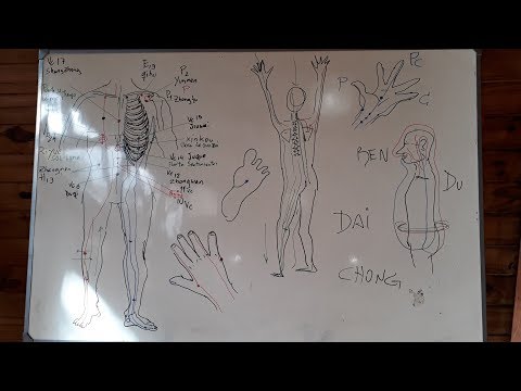 Teoría. Meridianos y Vasos maravillosos.