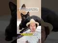 Warum verbrannte man im Mittelalter Katzen? 🐈‍⬛🔥 #shorts