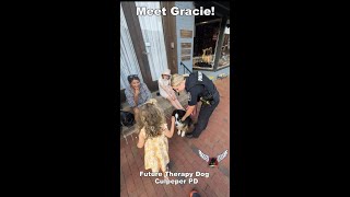 Meet Gracie — Culpeper's Future Therapy Dog 🐾💙