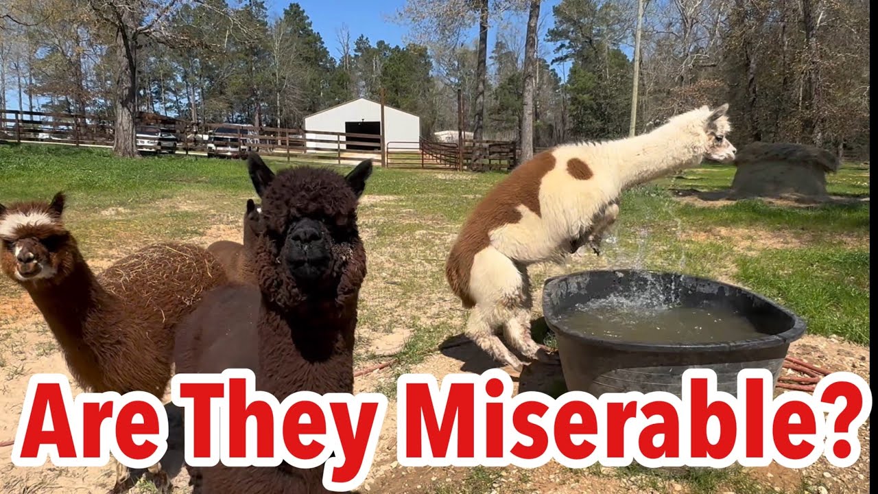 Я допустил ошибку?