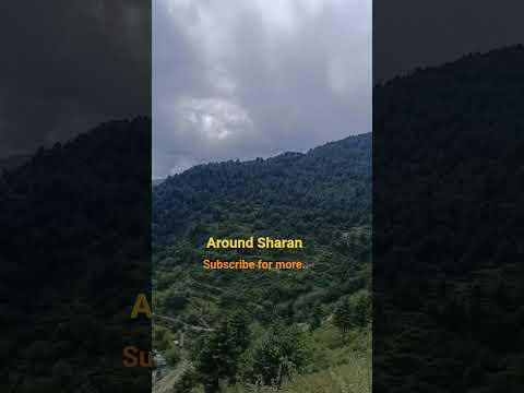 اطراف جنگل شاران سفر کاوش طبیعت شاران جنگل جنگل شاران کوهستان گردشگری راه
