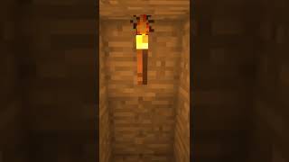 Don't expect a catch in the video Minecraft 2 #shorts #minecraft / minecraft relaxing gameplay