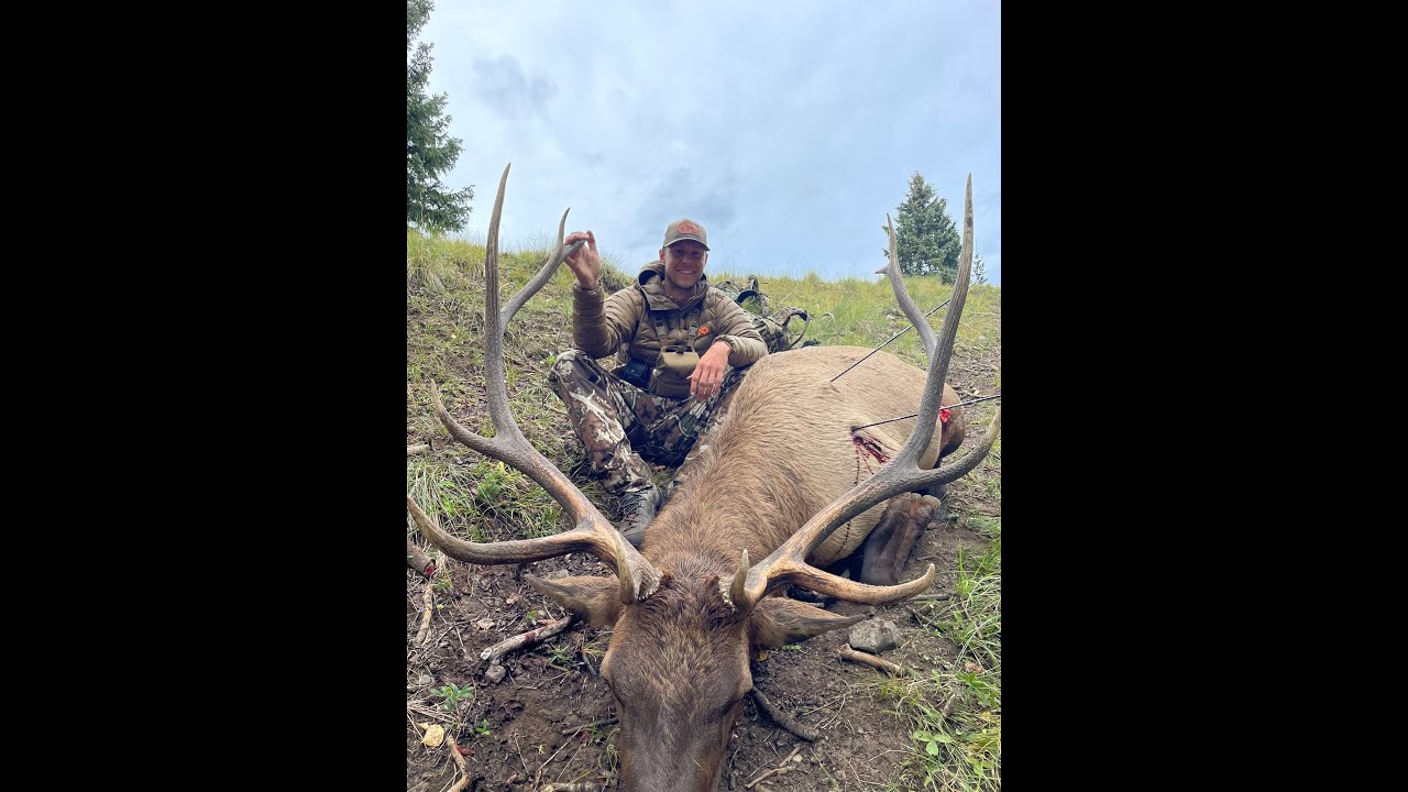 NEW MEXICO ELK HUNT 2022 YouTube