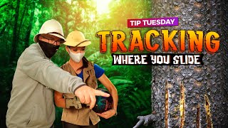 Tracking Your Bowling Slide. A Secret Tip Pro Bowlers Use. Wealth