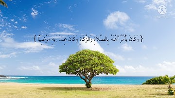 فاختلف الاحزاب من بينهم || آيات سورة مريم || موسى الفيفي