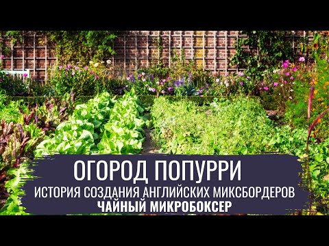 Огород попурри \ Современный огород