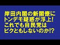 岸田内閣の新閣僚に新たな疑惑が浮上!これでも自民党はビクともしないの!?