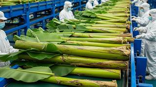 Inside a Factory Where Scrap Gets a New Purpose