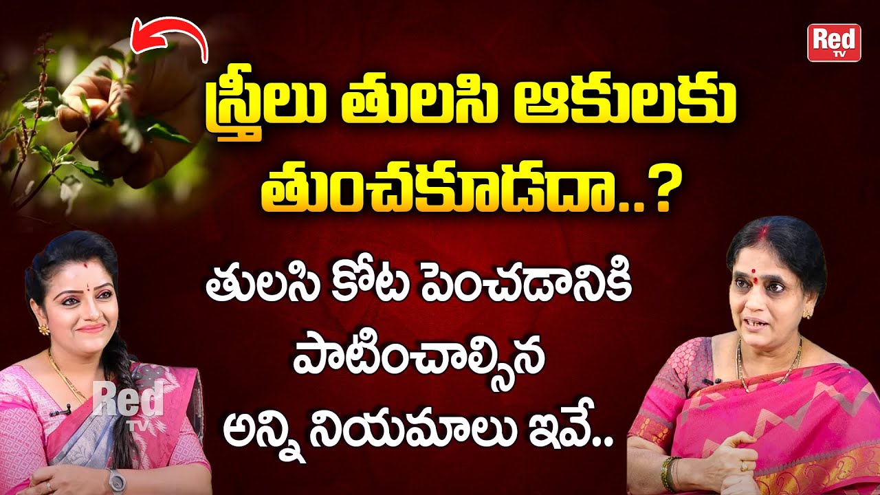 తులసి కోట పెంచడానికి పాటించాల్సిన అన్ని నియమాలు ఇవే.. Laxmi Viswanath