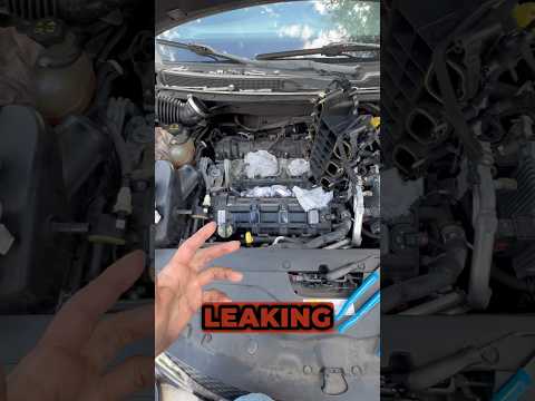 Oil Cooler Leaking #chrysler #automobile #florida #diy #how #howto #repair #car #learn #mechanic