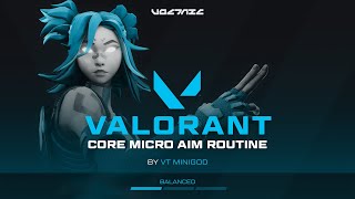 Voltaic Valorant Micro Fundamental Training