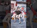 [Zenless Zone Zero] 지금 몇 시예요 | Ye Shunguang, Astra Yao, Ukinami Yuzuha [MMD]