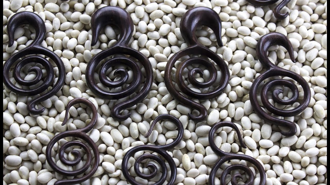 body piercing valparaiso Coil Spiral Sono Wood Hangers (8G - 1/2