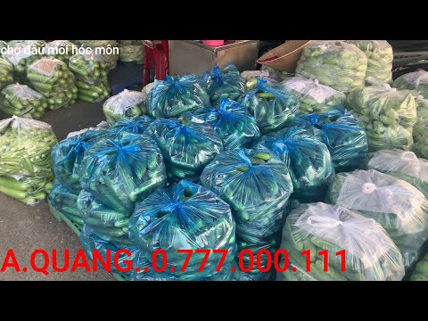 Video 335#DƯA LEO,KHỔ QUA,DƯA HƯỜNG,BẦU,ĐẬU RỒNG,ĐẬU ĐŨA,CHỢ... - youtube