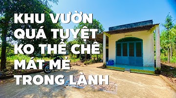 Ôm nhiều BĐS đổ nợ phải bán gấp nhà vườn ở BR-VT bước vào khó ai chê được