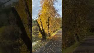 #shorts #ukraine #nature #autumn #october #kyiv #park #square #київ #україна #українською #dayoff