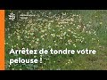 Arrêtez de tondre votre pelouse !