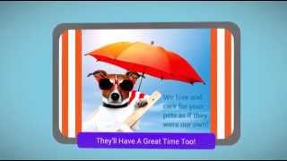 Panama City Beach dog sitting Call 1.954.815.7533