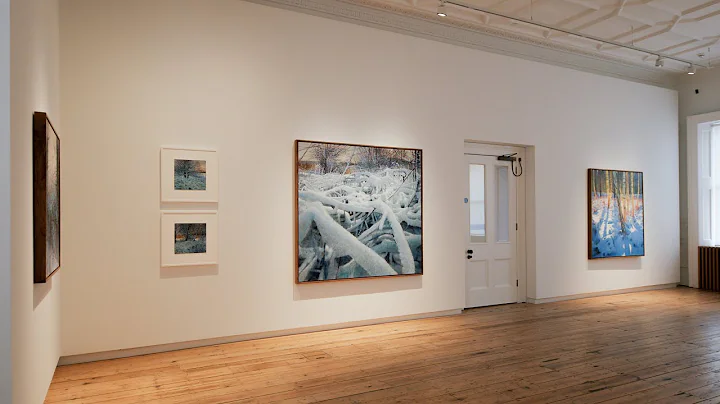 Andrew Gifford, Alone With Trees, Part 2 | Install...