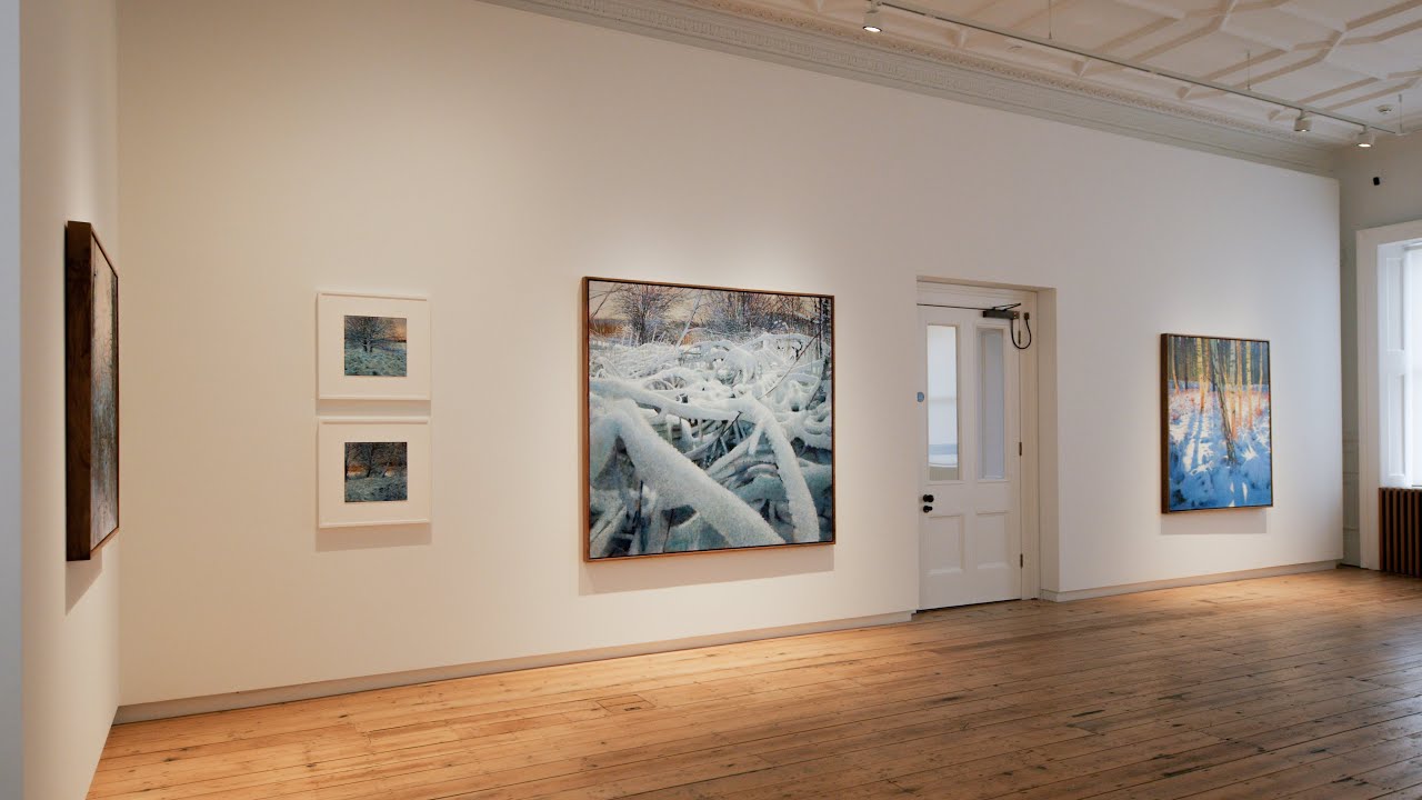 Andrew Gifford, Alone With Trees, Part 2 | Install and Teaser