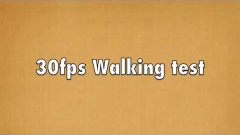 30fps Walking cycle test