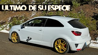 En Peligro de Extinción Seat Ibiza Cupra 1.8 T