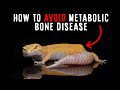 LET&#39;S TALK ABOUT METABOLIC BONE DISEASE IN REPTILES