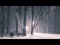 白い冬cover ふきのとう [REMASTER]