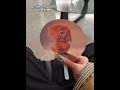 Looks just like a successful one! #redpuppy #meme #fan #try something new