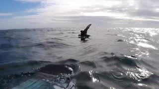 Crossing The North Minch