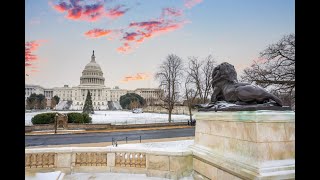 Winter Activities in the DMV | Indoor Events You’ll Love This Season