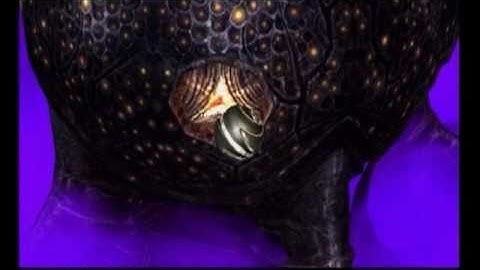 MP2 Any% Test Run (1:01) - Parts 14/15