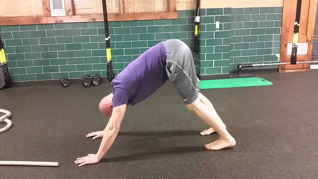 Downward dog (dynamic) YouTube